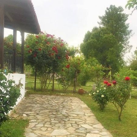 Katerina'S Holiday Home Криопиги Экстерьер фото
