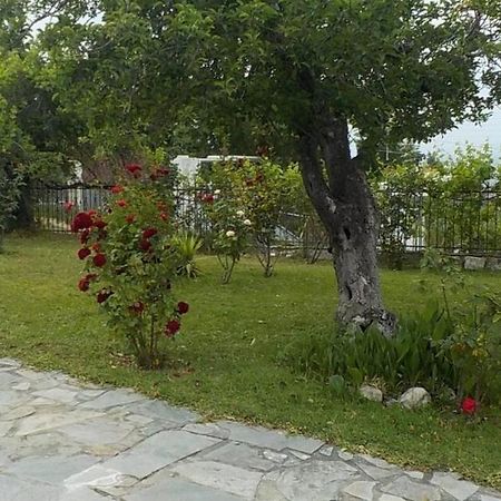 Katerina'S Holiday Home Криопиги Экстерьер фото